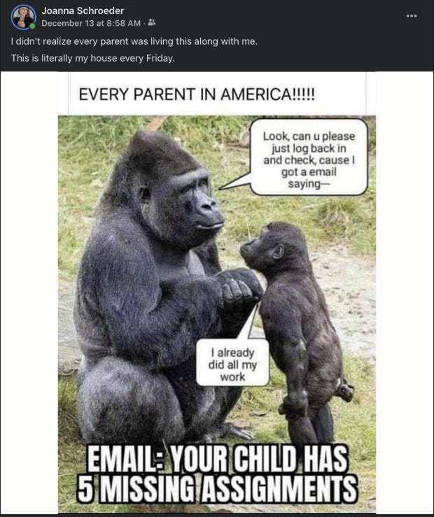 meme of chimpanzee mom and baby discussing 'missing assigments' emails