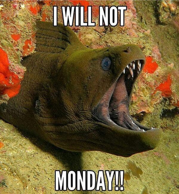 I will not Monday!! I will not Monday!!