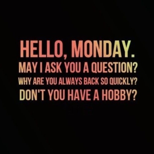 Hello, Monday. May I ask you a question? Why are you always back so quickly? Don't you have a hobby? Hello, Monday. May I ask you a question? Why are you always back so quickly? Don't you have a hobby?