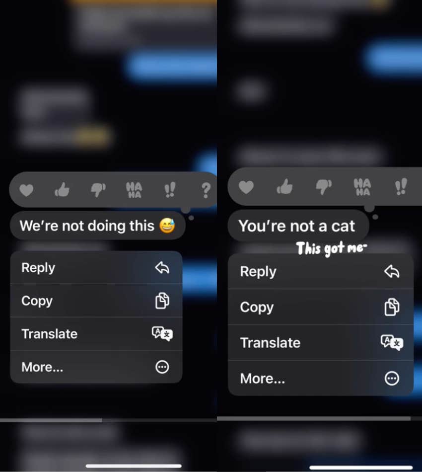 tiktok where girl came out as a therian and was disappointed by her mom's response